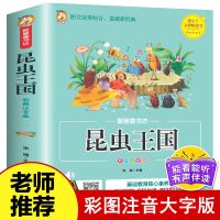 昆虫王国 儿童百科书籍 绘本故事书幼儿园小学生一二三年级课外书 昆虫王国（童书坊）