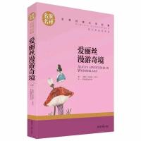 鲁滨逊漂流记正版六年级下册骑鹅旅行记汤姆索亚历险记快乐读书吧 鲁滨逊漂流记[注音版]
