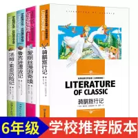 六年级下册必读课外书正版鲁滨逊漂流记汤姆索亚历险记骑鹅旅行记 名师精读版[汕头大学出版社] 鲁滨逊漂流记