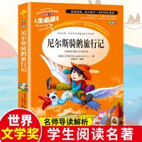 尼尔斯骑鹅旅行记六年级课外书必读经典书目书目推荐骑鹅历险记 尼尔斯骑鹅旅行记