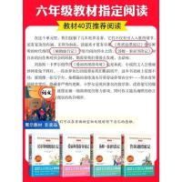 六年级必读课外阅读书籍下册经典书目鲁滨逊漂流记汤姆索亚历险记 单本手册[尼尔斯骑鹅旅行]