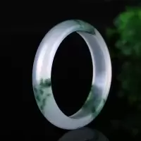 天然玉镯浅绿色玉手镯女款A级玉石玉器 翠玉白玉手镯 蓝花色54