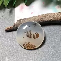 海洋玉髓2.5-3.5厘米圆牌吊坠 天然玛瑙草花风景象形厂家直销 25mm(未打孔)随机发货