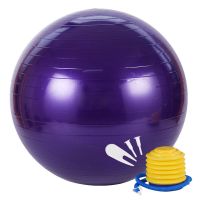 [瑜伽球 ]瑜伽球减肥健身球 加厚防爆 可承重500斤 紫色[加厚防爆] 45cm[推荐身高140-150]
