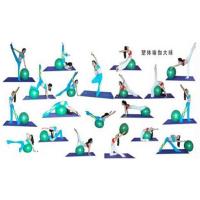 米悠达瑜伽球送打气桶气拔承重300公斤健身加厚防爆男女性爱球 紫色 25CM翘臀球