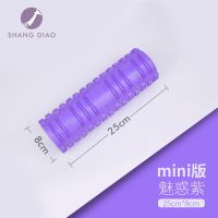 沉翼泡沫轴肌肉放松按摩滚轴瘦小腿神器狼牙棒瑜伽柱滚轮健身器材 【迷你版】紫色【25*8cm】