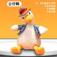 [跳舞仙人掌]会唱生日歌扭扭仙人掌唱歌闺蜜生日礼物送女生创意 复读鸭公仔不说话不唱歌 +电池