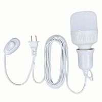 led超亮插座灯带开关家用照明灯插电吊灯卧室床头灯节能小夜灯 新版2.1米灯头线 +不含灯泡