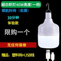 家用停电应急照明灯户野外登山帐篷无线照明可充电防水摆摊电灯泡 40W体验款(无保修无售后) 灯+数据线