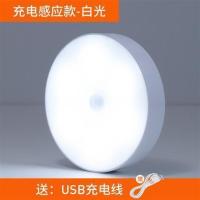 人体感应灯家用夜光灯卧室小夜灯睡觉小夜灯小夜灯儿童不插电迷你 充电款白光