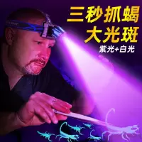 感应头灯捕蝎LED强光可充电紫光蝎子灯专用超亮头戴式户外抓逮蝎 15质保+可充手机+送镊子 紫光单光源2000毫安待机1