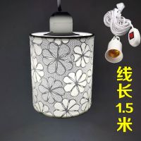 LED彩色遥控吊灯粉紫色浪漫夫妻情侣情趣氛围床头插座情调小夜灯 月光白色 柔和款