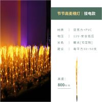 太阳能led麦穗灯芦苇灯户外防水花园公园广场街道景观装饰插地灯 节节高麦穗灯-接电款