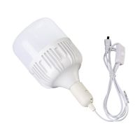 LED超亮节能带线灯泡插电式简约吊灯家用卧室直插式带开关飞碟灯 2米线+20W高富帅灯