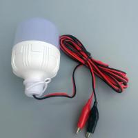 地摊夜市灯带线低压led灯泡 品字线夹插头移动节能超亮直流电瓶灯 15W 白光 3米夹子线12V电瓶专用