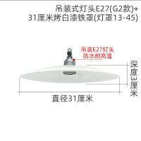 户外吊装45孔圆形灯罩E27灯座养殖照明铝外壳不锈钢露天防水聚光 吊装G2款+31cm烤白漆铁罩