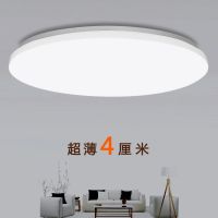 圆形吸顶灯卧室LED厨房灯具简约走廊过道书房餐厅客厅超薄阳台灯 纯白款 直径20cm-24瓦白光