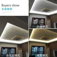 led三色灯带超亮220v白光蓝光家用灯槽客厅吊顶软灯带户外防水条 平面高亮120珠三色白+暖+中性光