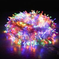 LED小彩灯闪灯串灯满天星七彩变色家用霓虹灯户外防水节日装饰灯 七彩 10米100灯[插电款]送插头