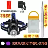 蝎子灯紫光抓捉逮捕蝎超亮强光头灯照蝎子灯捕蝎灯专用充电头戴式 变焦白光紫光+2锂电+直冲