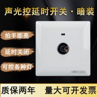 声光控延时开关面板86型暗装二线楼道感应开关白炽节能LED灯声控 暗装声光控延时开关(可控所有灯)
