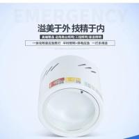 消防LED明装消防应急筒灯射灯黑色白色外壳吊装π拿斯特国标敏华 4寸8瓦白色外壳 白光