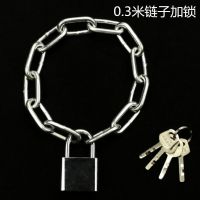 自行车锁链条锁电动车锁摩托车防盗锁铁链锁链子锁大门锁推拉门锁 30cm 链子 +防剪锁四把钥匙