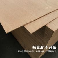 免漆板胶合板5mm多层板全桉芯 环保E0级生态板材衣柜实木家具背板 60x60cm x2块