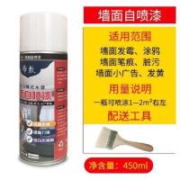 内墙乳胶漆内墙漆自刷墙防霉小瓶白色自喷翻新墙面漆油漆室内涂料 墙面自喷漆450ML(送刷子) 手扫漆/手摇喷漆