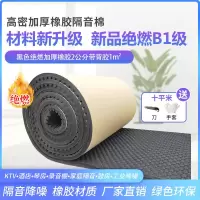 B1级绝燃隔音棉墙体吸音自粘隔音板卧室内家用消音门窗户隔音神器 黑色B1级绝燃加厚橡胶2公分1平米