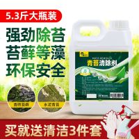 青苔去除剂水泥地面墙面霉菌藻类苔藓杀除剂瓷砖灭藻草酸清洁剂 青苔清除剂5.3斤/桶