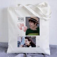 陈情令周边帆布包女包王一博君一肖战包包应援单肩手提袋书包学生 王战