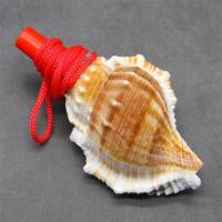 天然贝壳超大海螺哨子 儿童玩具号角礼物吹小螺号 海边旅游纪念品 海参螺口哨 一个