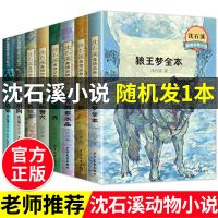 正版沈石溪动物小说系列全集狼王梦小学生必读三四五六年级课外书 随机发一本 完整版