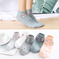 [5双]袜子女韩版条纹四季百搭中筒透气棉春夏秋日系学院风短袜[8月6日发完] 领结猫 短款 5色 收藏店铺优先发货