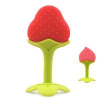 婴儿磨牙棒牙胶摇铃宝宝软硅胶安抚奶嘴果蔬咬咬乐可水煮儿童玩具 随机2个装