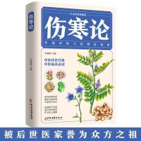 伤寒论(白话彩图典藏版):开创中医六经辩证体系 提升身体免疫 如图