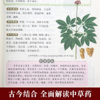 本草纲目正版李时珍 原著全套白话版无删减本草纲目彩图版 中医养