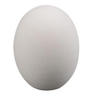 日本硅藻土除臭蛋冰箱去味神器除湿剂衣柜鞋柜家用防潮保鲜蛋 白色 1个装