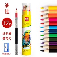 得力彩色铅笔水溶性彩铅水性铅笔可擦彩铅专业绘画手绘画笔学生用 12色-油性彩铅 送[卷笔刀+延长器]各一套