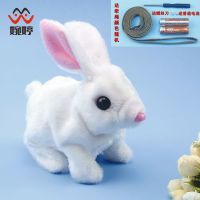 婉婷电动毛绒玩具小兔子儿童玩偶会叫会走路宝宝宠物仿真跳跳白兔 薄绒白色兔子 送普通电池+牵绳+螺丝刀