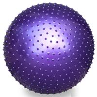 瑜伽球加厚大龙球儿童感统训练球防爆球初学者按摩减肥健身球套装 55CM [初学者]加厚防爆球 紫色[送气筒/气拔/球塞