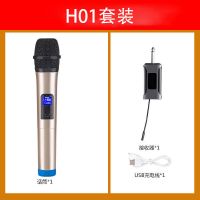 万能无线话筒一拖二u段家用户外演出k歌家用KTV会议舞台麦克风 H01标配