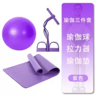 维动瑜伽垫三件套初学者加厚瑜伽垫瑜伽球拉力器套装健身垫舞蹈垫 [魅力紫]瑜伽垫+瑜伽球+拉力器