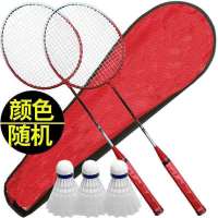 羽毛球拍2支成人学生情侣儿童亲子进攻型羽毛球拍 加强款[赠3球+包]