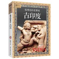 古印度 看得见的世界史 古印度通俗读物等待你揭开历史层层迷雾 如图