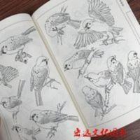 百雀画谱 王满良绘工笔白描麻雀图集临摹范本雀鸟画谱中国画线描 百雀画谱 王满良绘工笔白描麻雀图集临摹范本雀鸟画谱中国画线