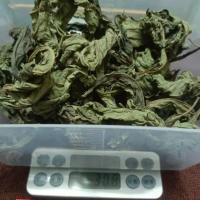 农夫自种南非叶,干叶,天然日晒,零污染,零农残,零添加 [南非叶]干叶30克