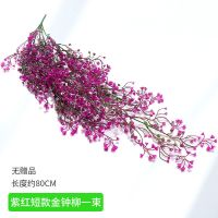 仿真金钟柳壁挂植物客厅墙面装饰室内绿植壁挂花藤垂吊藤条假藤蔓 短款金钟柳紫红一束[不送花篮]