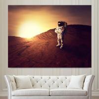 背景布挂布太空宇航员油画卧室改造背景墙沙发背景宿舍遮挡画挂毯 YHY22 宽1米高0.7米送工具包
